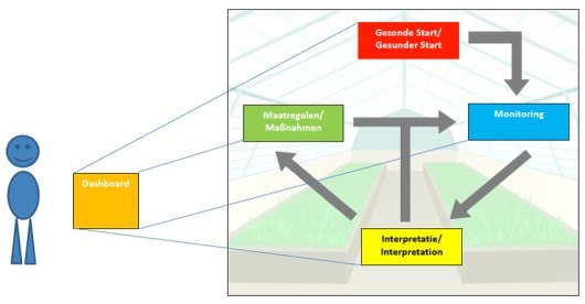 Gezondekassyssteem_530x276.jpg