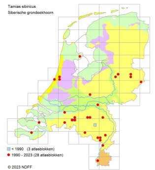 Verspreidingskaart Siberische grondeekhoorn